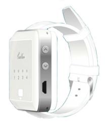 4-х зональный пейджер Smart 41H, белый