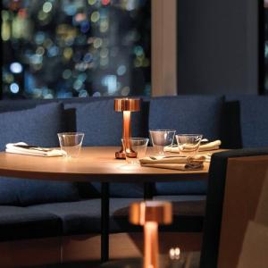 Беспроводной светильник WC100B (бронза)