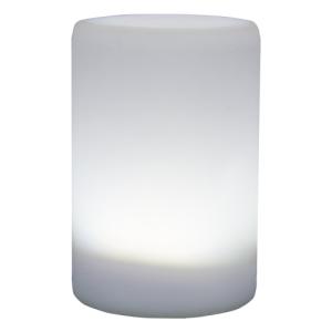 Беспроводной светильник WL200 (белый матовый)