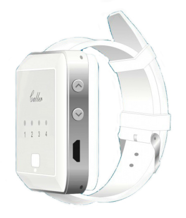 4-х зональный пейджер Smart 41H, белый